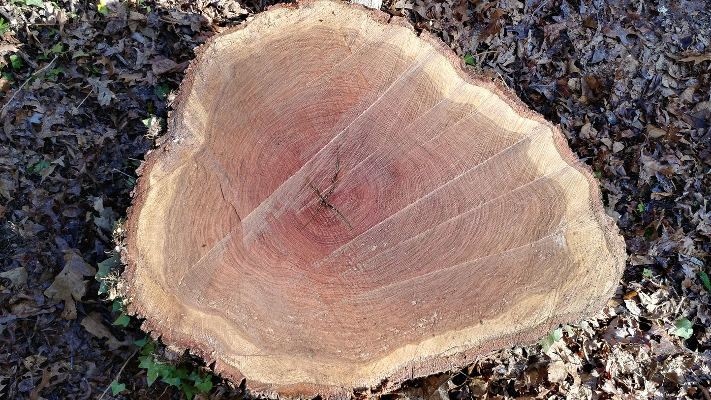 Patron Board #1 - White Oak Core